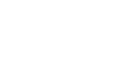 Asset 1